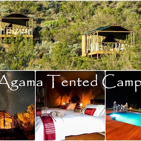 Garies Agama Tented Camp מראה חיצוני תמונה