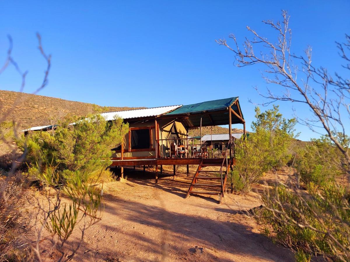 Garies Agama Tented Camp מראה חיצוני תמונה