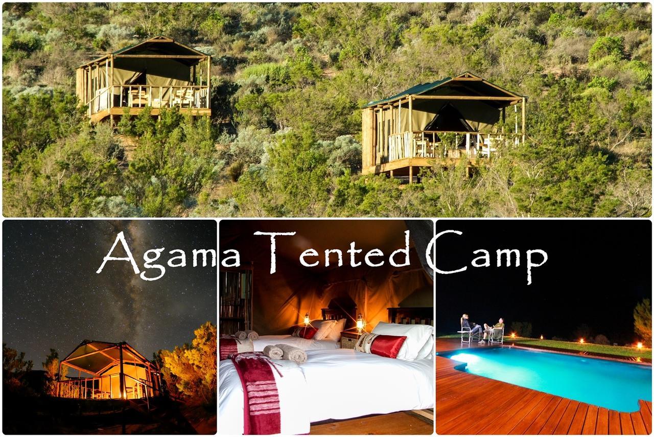 Garies Agama Tented Camp מראה חיצוני תמונה
